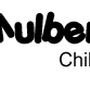 Mulberry Tree Childcare Ascot - Child Care