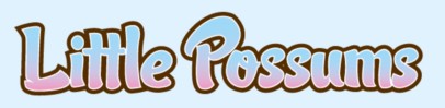 Little Possums Pre School & Early Learning Centre - Child Care 0