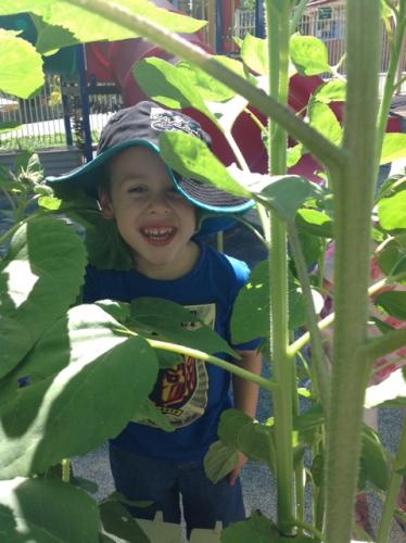 Central Gardens Child Care Pre School - Child Care Australia 2