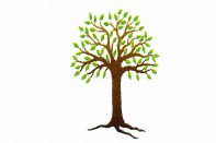 Kadina Child Care Centre - Child Care 0