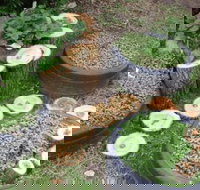 Honeybee Preschool - Child Care