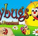 Ladybugs Daycare / Preschool  - Child Care Australia