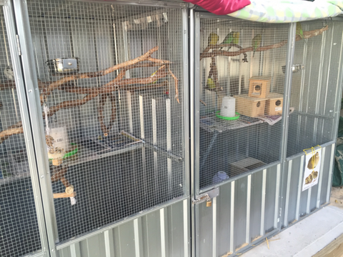 TLC Early Learning Centre - Child Care 1