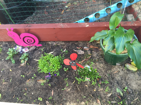 TLC Early Learning Centre - Child Care 4