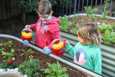 Sylvania Waters Early Education - Child Care 1