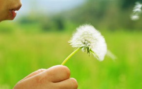 Bokarina QLD Child Care