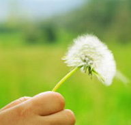 Green Beginnings Child Care Centre  Kindy - Child Care