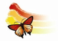 Capalaba Kindergarten Capalaba
