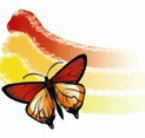 Capalaba Kindergarten - Child Care