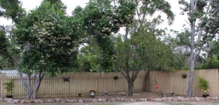 Jensen QLD Child Care