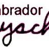 Labrador Playschool - Child Care