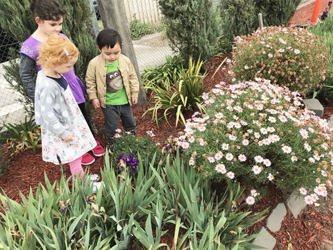 Wonder World Play Centre - Child Care 5