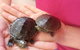 Dynamic Learners Early Childhood Centre - thumb 4