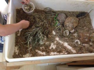 Gumnuts On Hardys Road - Child Care 4