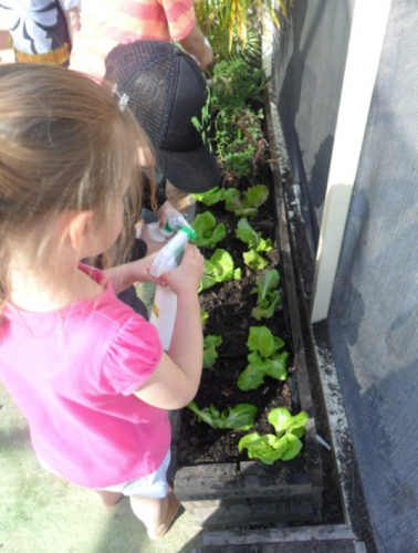 Hopscotch Boambee Childcare/Preschool - Child Care 9