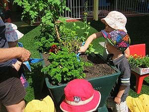 Noosaville Child Care & Preschool Centre - Child Care 2