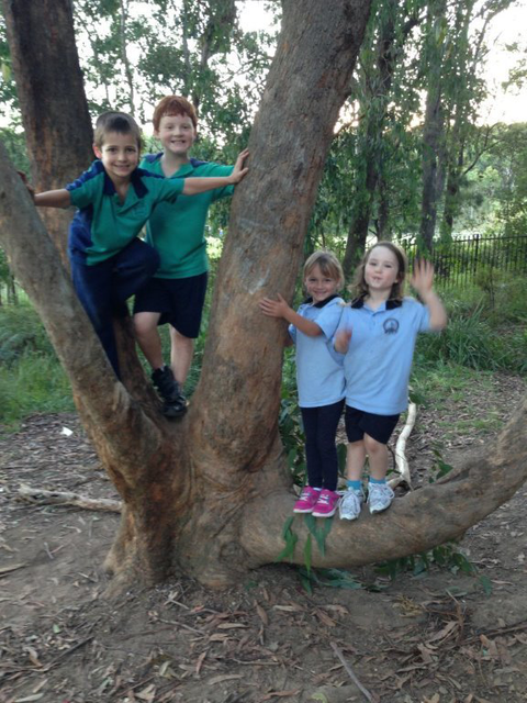 Merewether Heights OOSH & Vacation Care - Child Care 10