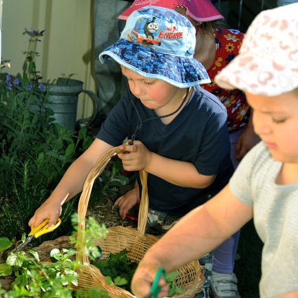 Peter Pan Pre-School Wollongong - Child Care 3