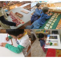 Parkside Montessori - Child Care