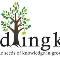 Seedling Kids - Child Care Australia