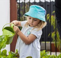Nido Early School Pennington - Child Care Australia