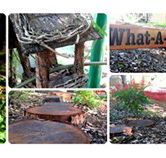 Willmore Kindergarten  Preschool - Child Care